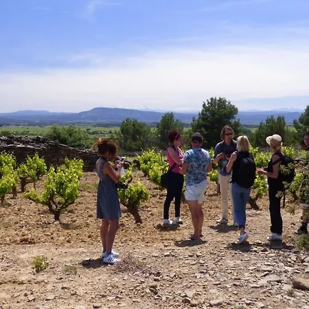 Le Logis Des Vendangeurs *