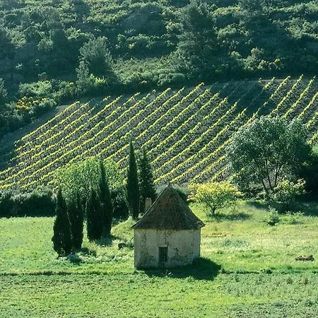 Le Logis Des Vendangeurs דירה *